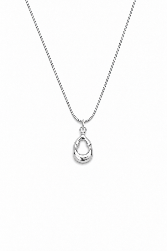 SHAPE 01 PLATA